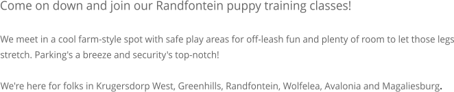 Come on down and join our Randfontein puppy training classes!  We meet in a cool farm-style spot with safe play areas for off-leash fun and plenty of room to let those legs stretch. Parking's a breeze and security's top-notch!  We're here for folks in Krugersdorp West, Greenhills, Randfontein, Wolfelea, Avalonia and Magaliesburg.