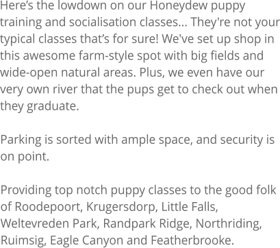 Here’s the lowdown on our Honeydew puppy training and socialisation classes... They're not your typical classes that’s for sure! We've set up shop in this awesome farm-style spot with big fields and wide-open natural areas. Plus, we even have our very own river that the pups get to check out when they graduate.  Parking is sorted with ample space, and security is on point.  Providing top notch puppy classes to the good folk of Roodepoort, Krugersdorp, Little Falls, Weltevreden Park, Randpark Ridge, Northriding, Ruimsig, Eagle Canyon and Featherbrooke.
