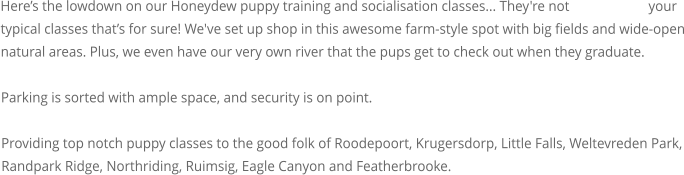 Here�s the lowdown on our Honeydew puppy training and socialisation classes... They're not your typical classes that�s for sure! We've set up shop in this awesome farm-style spot with big fields and wide-open natural areas. Plus, we even have our very own river that the pups get to check out when they graduate.  Parking is sorted with ample space, and security is on point.  Providing top notch puppy classes to the good folk of Roodepoort, Krugersdorp, Little Falls, Weltevreden Park, Randpark Ridge, Northriding, Ruimsig, Eagle Canyon and Featherbrooke.