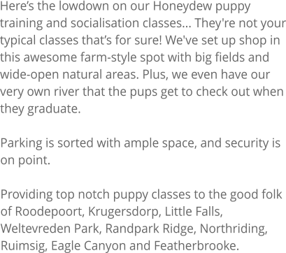 Here�s the lowdown on our Honeydew puppy training and socialisation classes... They're not your typical classes that�s for sure! We've set up shop in this awesome farm-style spot with big fields and wide-open natural areas. Plus, we even have our very own river that the pups get to check out when they graduate.  Parking is sorted with ample space, and security is on point.  Providing top notch puppy classes to the good folk of Roodepoort, Krugersdorp, Little Falls, Weltevreden Park, Randpark Ridge, Northriding, Ruimsig, Eagle Canyon and Featherbrooke.