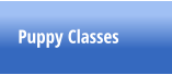 Puppy Classes