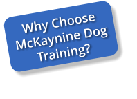 Why Choose McKaynine Dog Training?