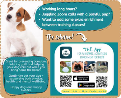 dogli app promotional image