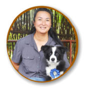 puppy and owner graduating at mckaynine honeydew puppy classes