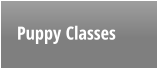 Puppy Classes