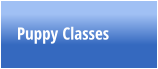 Puppy Classes