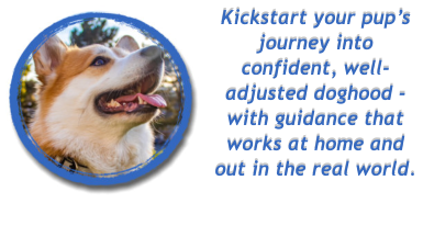 Kickstart your pup�s journey into confident, well-adjusted doghood - with guidance that works at home and out in the real world.