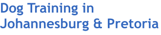 Dog Training in Johannesburg & Pretoria