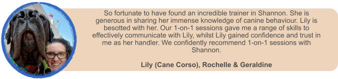 So fortunate to have found an incredible trainer in Shannon. She is generous in sharing her immense knowledge of canine behaviour. Lily is besotted with her. Our 1-on-1 sessions gave me a range of skills to effectively communicate with Lily, whilst Lily gained confidence and trust in me as her handler. We confidently recommend 1-on-1 sessions with Shannon.  Lily (Cane Corso), Rochelle & Geraldine