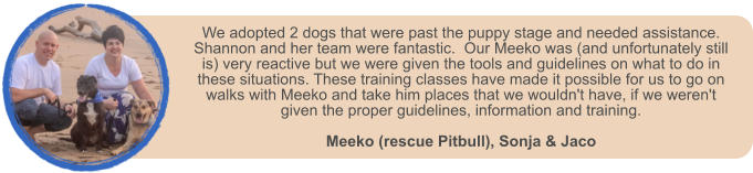 We adopted 2 dogs that were past the puppy stage and needed assistance.  Shannon and her team were fantastic.  Our Meeko was (and unfortunately still is) very reactive but we were given the tools and guidelines on what to do in these situations. These training classes have made it possible for us to go on walks with Meeko and take him places that we wouldn't have, if we weren't given the proper guidelines, information and training.   Meeko (rescue Pitbull), Sonja & Jaco