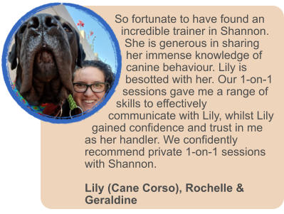 So fortunate to have found an incredible trainer in Shannon. She is generous in sharing her immense knowledge of canine behaviour. Lily is besotted with her. Our 1-on-1 sessions gave me a range of skills to effectively communicate with Lily, whilst Lily gained confidence and trust in me as her handler. We confidently recommend private 1-on-1 sessions with Shannon.  Lily (Cane Corso), Rochelle & Geraldine