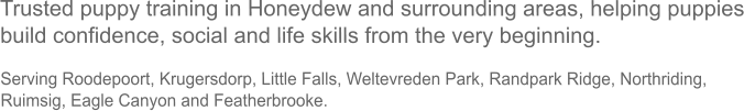 Trusted puppy training in Honeydew and surrounding areas, helping puppies build confidence, social and life skills from the very beginning.  Serving Roodepoort, Krugersdorp, Little Falls, Weltevreden Park, Randpark Ridge, Northriding, Ruimsig, Eagle Canyon and Featherbrooke.