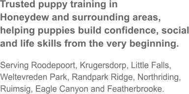Trusted puppy training in Honeydew and surrounding areas, helping puppies build confidence, social and life skills from the very beginning.  Serving Roodepoort, Krugersdorp, Little Falls, Weltevreden Park, Randpark Ridge, Northriding, Ruimsig, Eagle Canyon and Featherbrooke.
