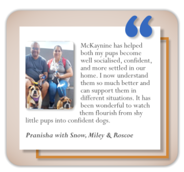 client testimonial midstream puppy classes pranisha