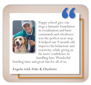 client testimonial midstream puppy classes engela