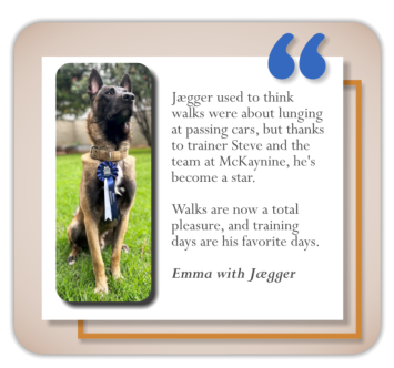 testimonial dog training client emma