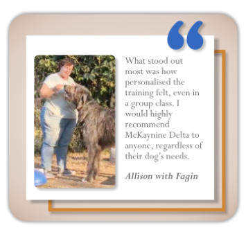 testomonial dog training client allison