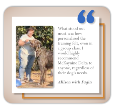 testomonial dog training client allison