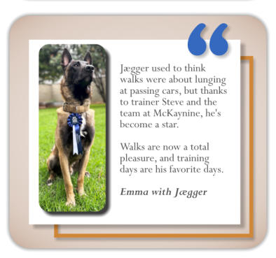 testimonial dog training client emma