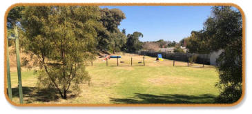 rangburg puppy classes venue