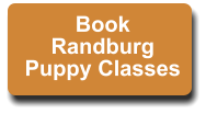 Book Randburg Puppy Classes