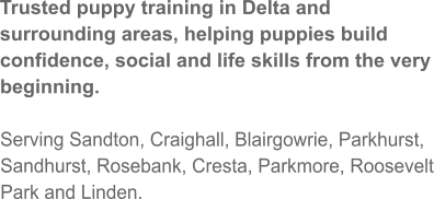 Trusted puppy training in Delta and surrounding areas, helping puppies build confidence, social and life skills from the very beginning.  Serving Sandton, Craighall, Blairgowrie, Parkhurst, Sandhurst, Rosebank, Cresta, Parkmore, Roosevelt Park and Linden.