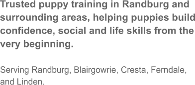 Trusted puppy training in Randburg and surrounding areas, helping puppies build confidence, social and life skills from the very beginning.  Serving Randburg, Blairgowrie, Cresta, Ferndale, and Linden.