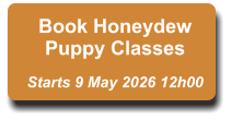 Book Honeydew Puppy Classes  Starts 9 May 2026 12h00