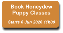 Book Honeydew Puppy Classes  Starts 6 Jun 2026 11h00
