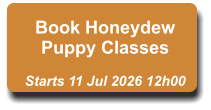Book Honeydew Puppy Classes  Starts 11 Jul 2026 12h00