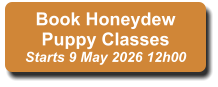 Book Honeydew Puppy Classes Starts 9 May 2026 12h00
