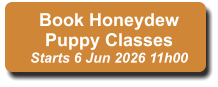 Book Honeydew Puppy Classes Starts 6 Jun 2026 11h00