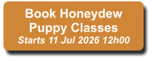 Book Honeydew Puppy Classes Starts 11 Jul 2026 12h00