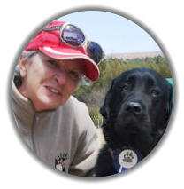 mckaynine dog training instructor maria with labrador