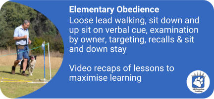Elementary Obedience Loose lead walking, sit down and up sit on verbal cue, examination by owner, targeting, recalls & sit and down stay  Video recaps of lessons to maximise learning