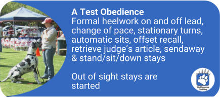 A Test Obedience Formal heelwork on and off lead, change of pace, stationary turns, automatic sits, offset recall, retrieve judge�s article, sendaway & stand/sit/down stays  Out of sight stays are started