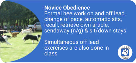 Novice Obedience Formal heelwork on and off lead, change of pace, automatic sits, recall, retrieve own article, sendaway (n/g) & sit/down stays  Simultaneous off lead exercises are also done in class