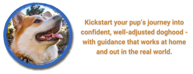 Kickstart your pup�s journey into confident, well-adjusted doghood - with guidance that works at home and out in the real world.