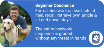 mckaynine beginner obedience training content