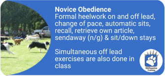 mckaynine novice obedience training content