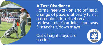 mckaynine a test obedience training content