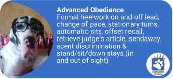 mckaynine advanced obedience training content