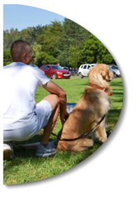 dog and owner watching mckaynine training classes