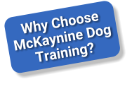 Why Choose McKaynine Dog Training?