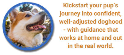 Kickstart your pup�s journey into confident, well-adjusted doghood - with guidance that works at home and out in the real world.