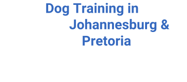 Dog Training in Johannesburg & Pretoria