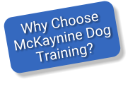 Why Choose McKaynine Dog Training?