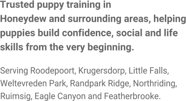 Trusted puppy training in Honeydew and surrounding areas, helping puppies build confidence, social and life skills from the very beginning.  Serving Roodepoort, Krugersdorp, Little Falls, Weltevreden Park, Randpark Ridge, Northriding, Ruimsig, Eagle Canyon and Featherbrooke.