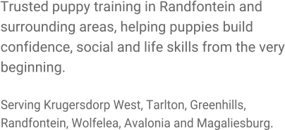 Trusted puppy training in Randfontein and surrounding areas, helping puppies build confidence, social and life skills from the very beginning.  Serving Krugersdorp West, Tarlton, Greenhills, Randfontein, Wolfelea, Avalonia and Magaliesburg.