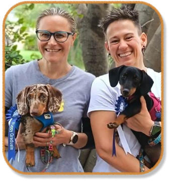 happy midstream client with graduate dachshund puppies